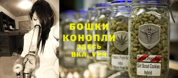дживик Балахна